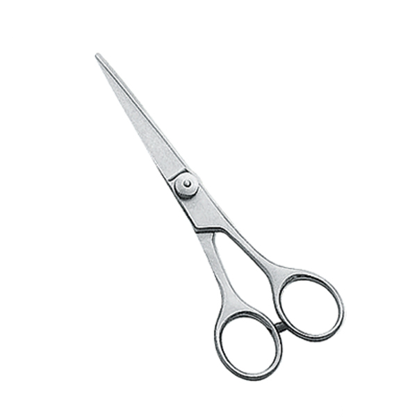 Hair Cutting Scissors